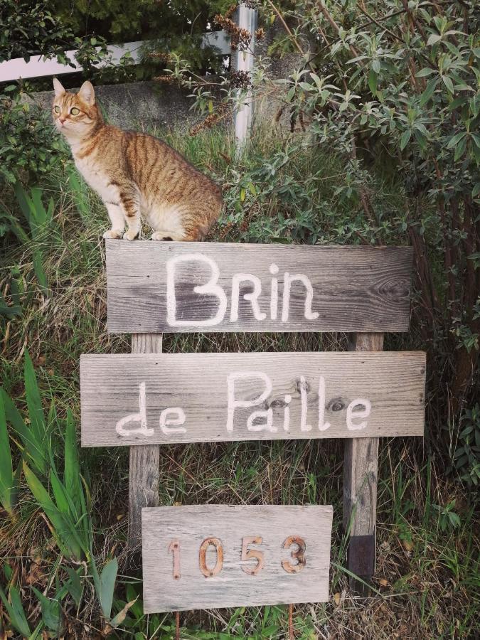 瓦隆蓬达克Brindepaille住宿加早餐旅馆 外观 照片